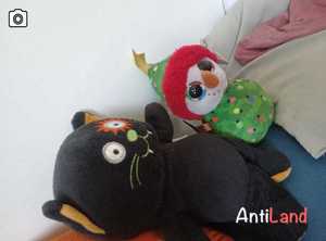 photo