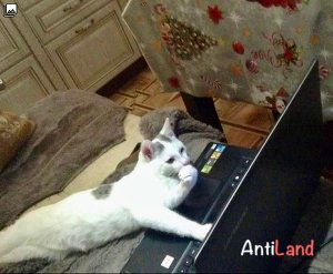 photo
